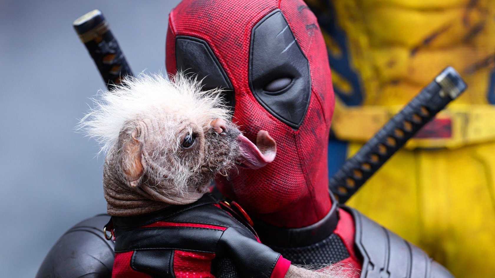 Deadpool Pause MCU-Pause oder endgültiger Abschied? Deadpool-Star Ryan Reynolds ...