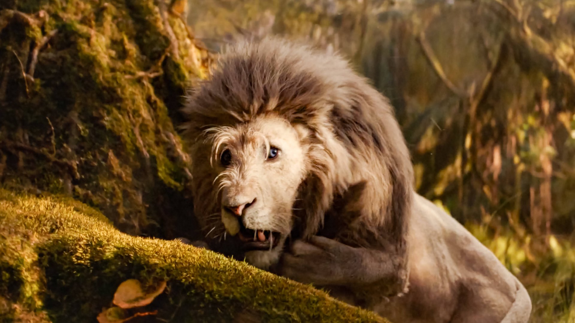 „Ich habe ihn absolut geliebt!“: Einer der größten Fantasy-Blockbuster der vergangenen Jahre landet frisch auf Platz 1 in den Streaming-Charts bf9b4234f35467700bb88491dc ZmMgN2JhNjk1Y2RmZmZmIDE5MjAgMANjZmJiMzM2MGI0ZA==