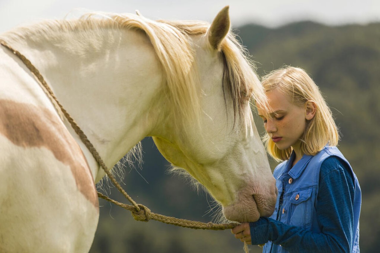 All Die Schönen Pferde Film Pferdefilme auf Netflix: Streams für einen filmischen Ausritt