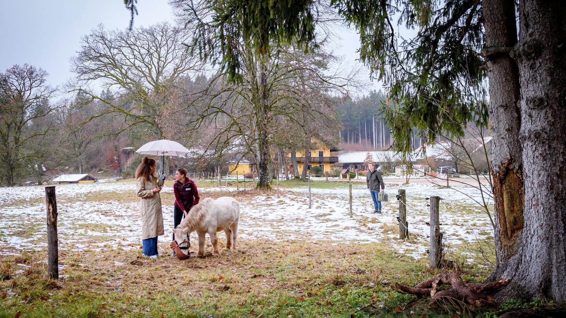 „Sturm der Liebe“, so geht es am 15. April weiter: Natalies Engagement ...