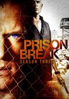 Poster Prison Break Staffel 3
