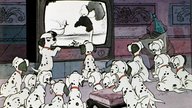 „101 Dalmatiner“-Namen: So heißen die gepunkteten Vierbeiner