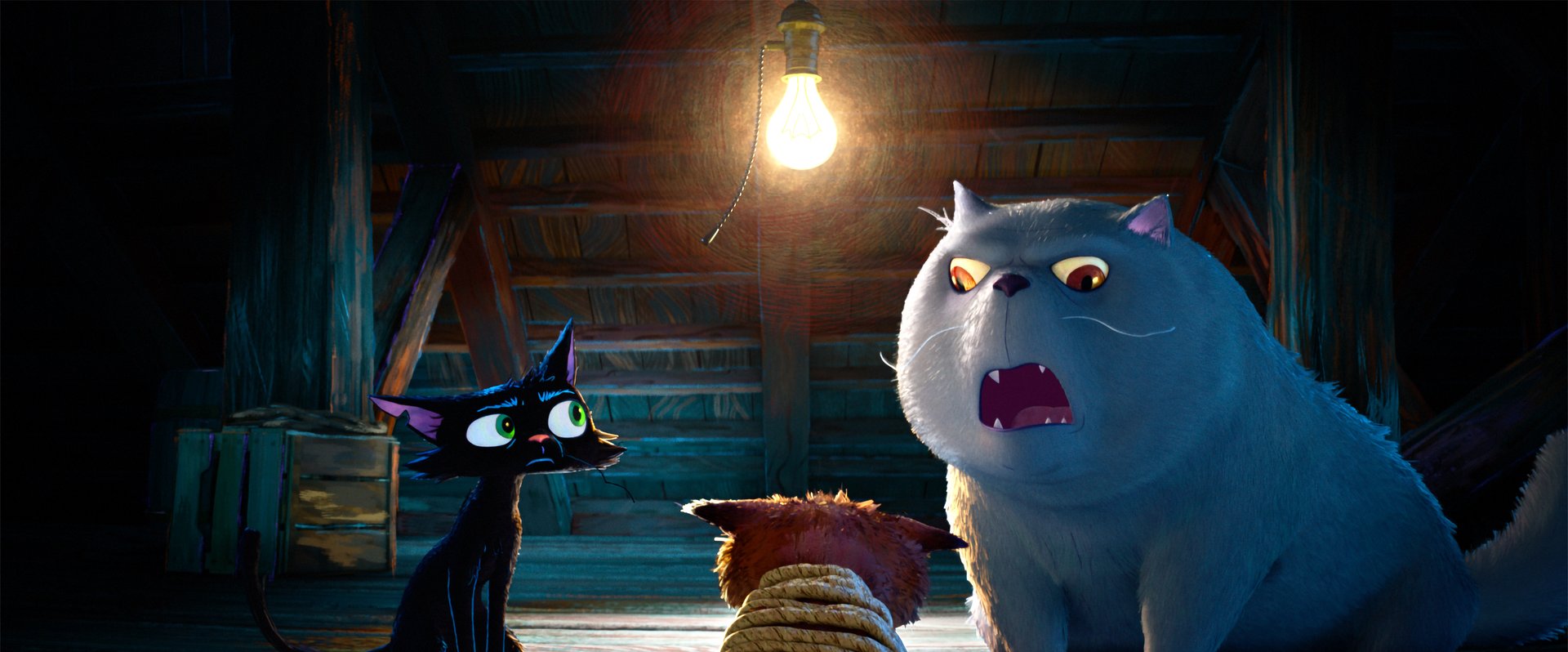 Mafia-Kinderfilm mit Katzen: Erster Trailer zu „Gatto“ berührt Pixar-Fans