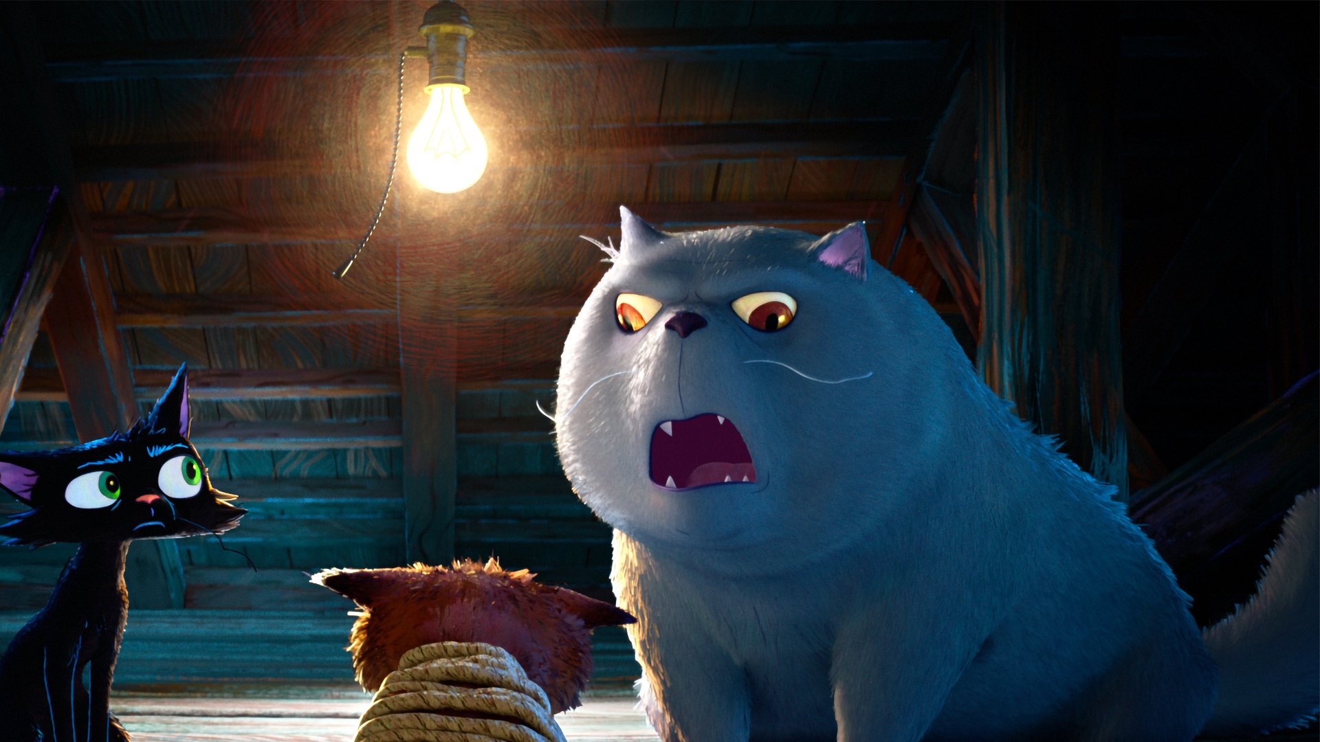 Mafia-Kinderfilm-mit-Katzen-Erster-Trailer-zu-Gatto-ber-hrt-Pixar-Fans