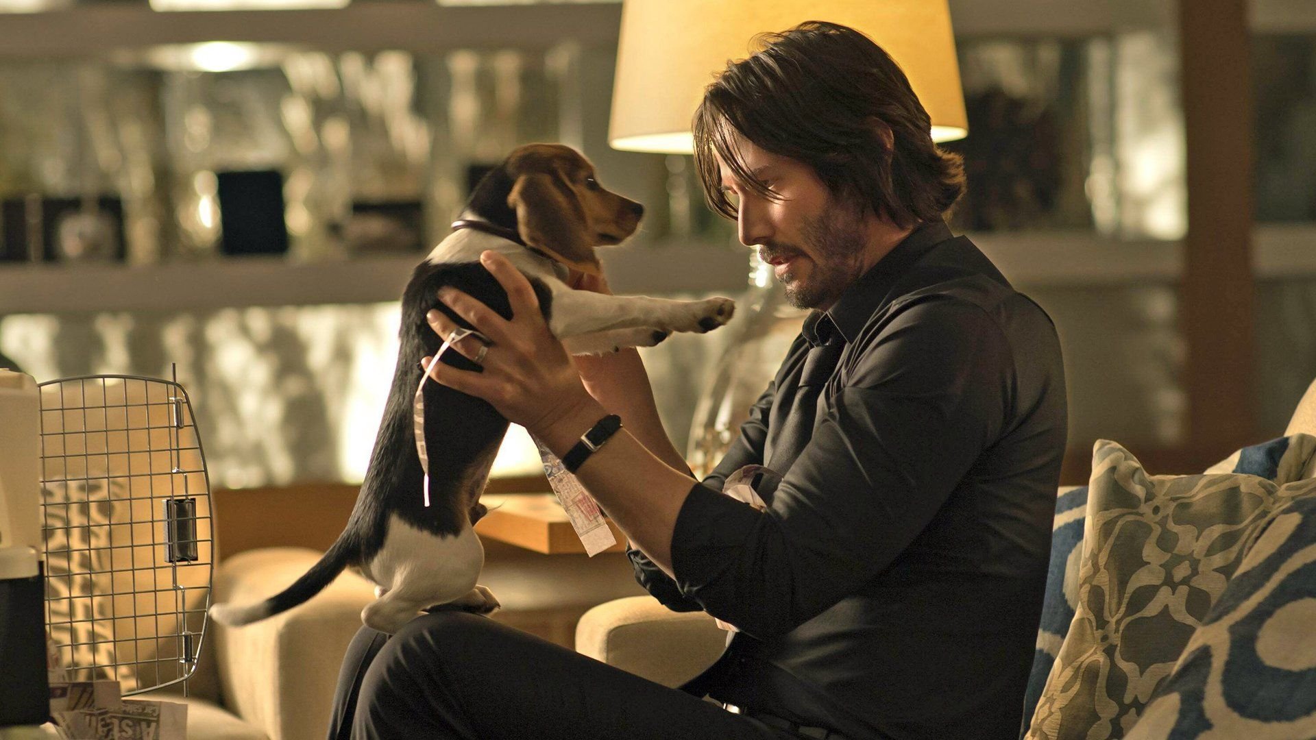 Der-wohl-teuerste-Hundehaufen-der-Filmgeschichte-John-Wick-Macher-mussten-f-r-Auftakt-der-Action-Reihe-mit-Keanu-Reeves-tief-in-die-Tasche-greifen