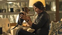 Der wohl teuerste Hundehaufen der Filmgeschichte: „John Wick“-Macher mussten für Auftakt der Action-Reihe tief in die Tasche greifen