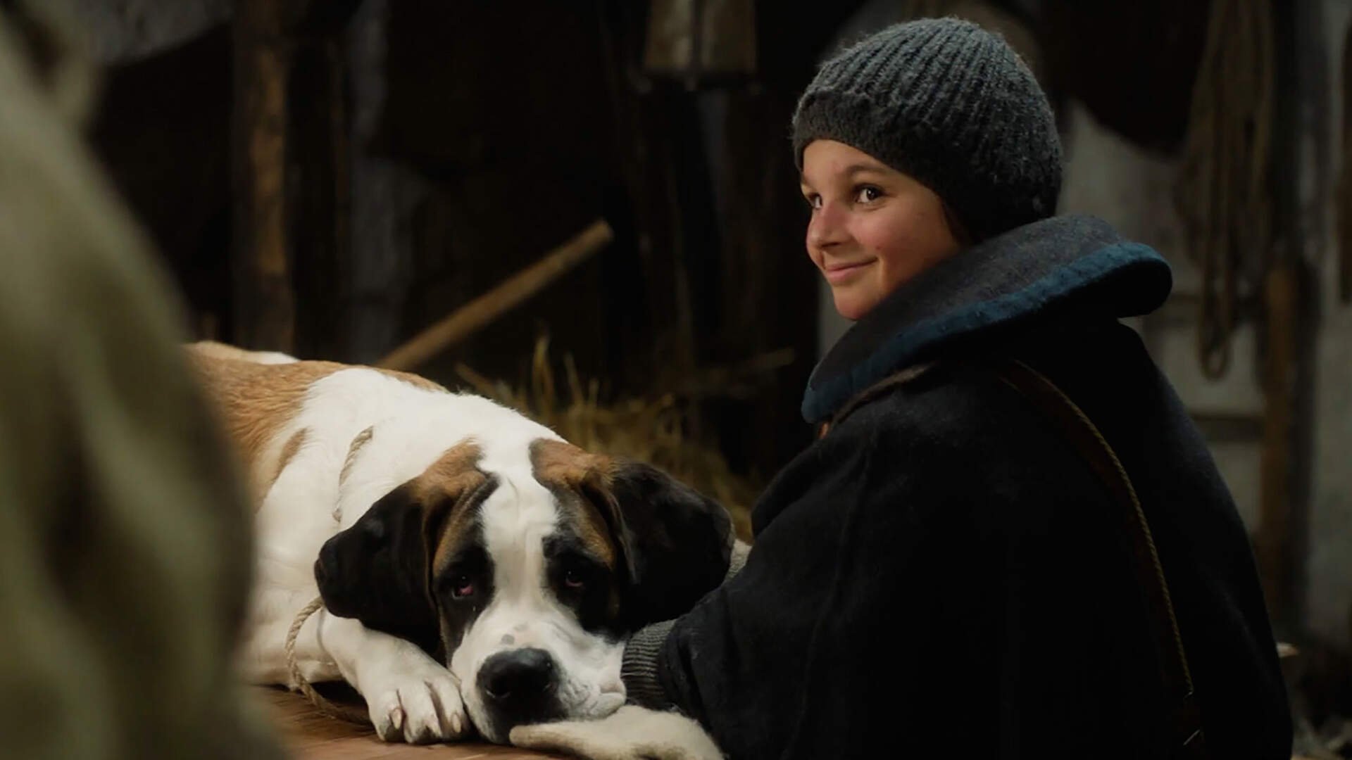 „Mein Freund Barry“: Das ist die wahre herzzerreißende Geschichte zum Hundefilm