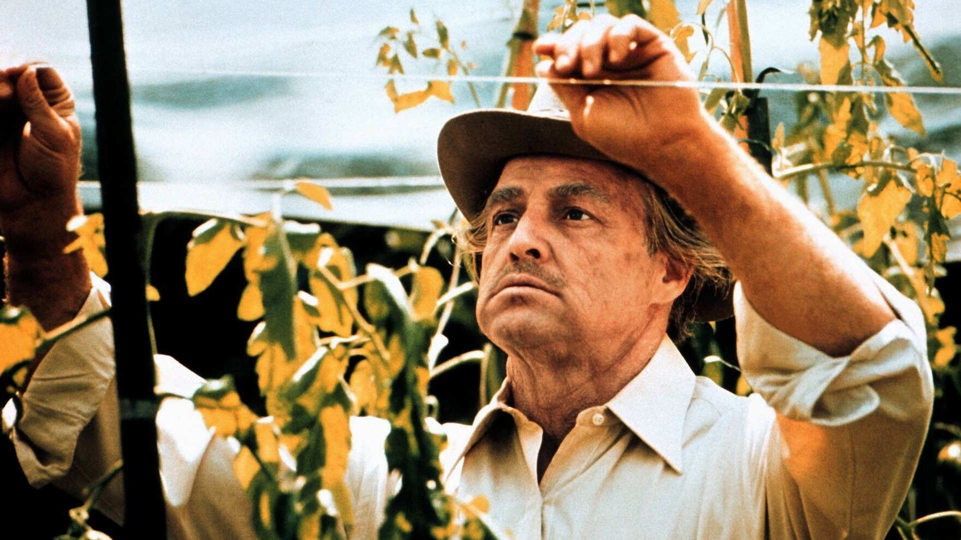 Sonntag-im-TV-Das-vielleicht-gr-te-Mafia-Epos-aller-Zeiten