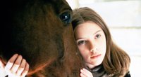 Die 7 besten Pferdefilme: Hier erlebt ihr die majestätischen Vierbeiner 