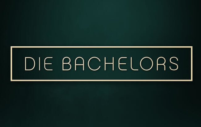 Die Bachelors 2024