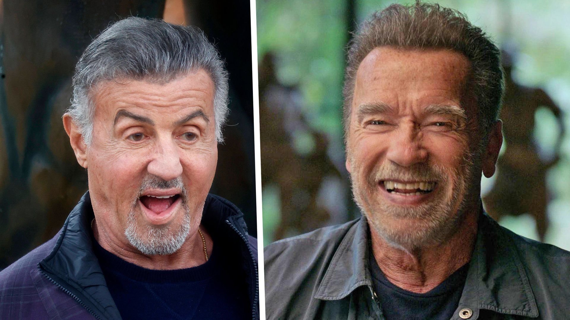 Regisseur von Action-Thriller über absurden Dreh: Schwarzenegger und Stallone waren "wie Kinder im Zeltlager" 0e92a01866b8dbd72c87133994 ZmMgODAwMDgwMDBmZmZmIDE5MjAgMANkMTAyMTZkNzgzOQ==