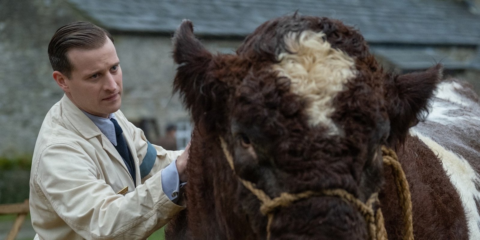 „Der Doktor und das liebe Vieh“ Staffel 6: Britische Tierarzt-Serie geht in die nächste Runde 