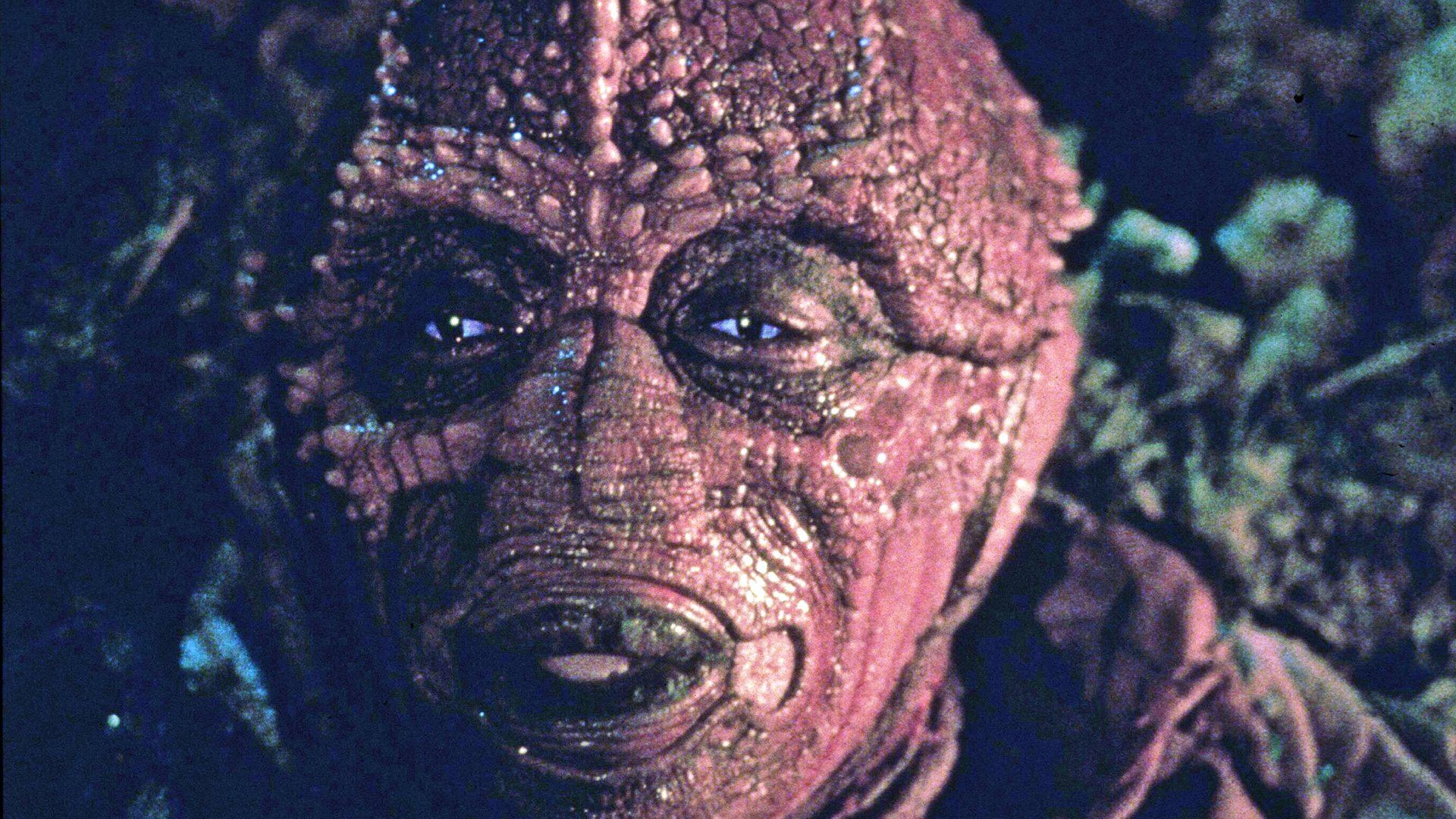 10 Sci-Fi-Filme, die Fans der alten „Star Trek“-Abenteuer gefallen werden