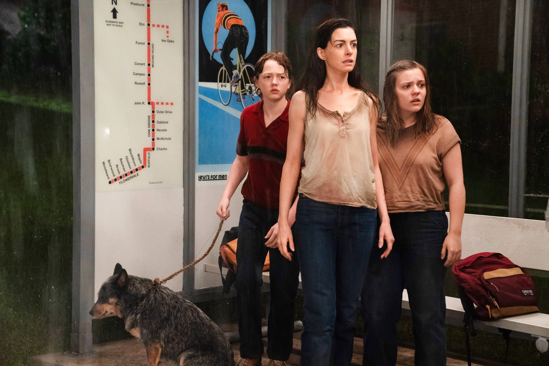 „The End of Oak Street“ erzielt überraschenden Rotten-Tomatoes-Score – und ist damit besser als jedes „Jurassic Park“-Sequel