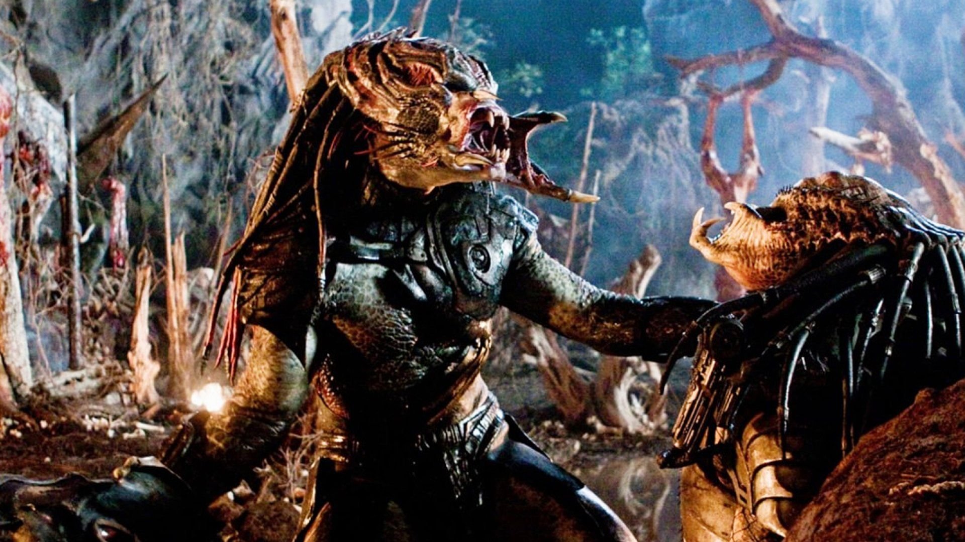 -Predator-Die-richtige-Reihenfolge-des-Action-Franchises