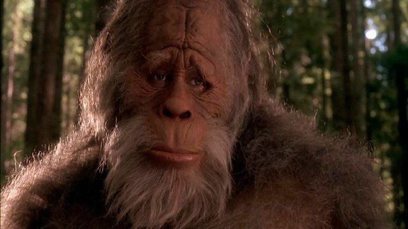 Bigfoot Filme: Hier begegnet ihr dem haarigen Riesen