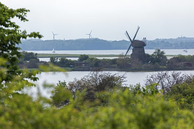 Die Geltinger Bucht