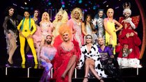 „Queen of Drags“: Kandidaten 2019