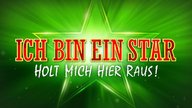 Dschungelcamp-Klassiker: Welcher Star steckt hinter diesen kultigen Zitaten?