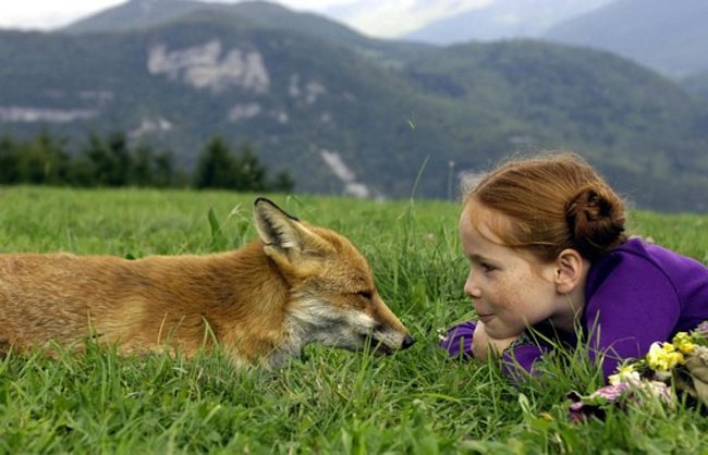 Lila (Bertille Noël-Bruneau) und der Fuchs sind ein Herz und eine Seele.