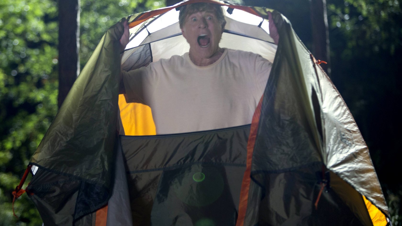 So viel Wahrheit steckt hinter „Picknick mit Bären“.