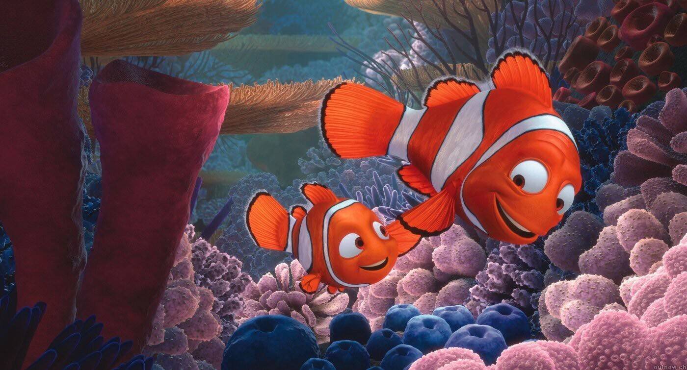 Ich habe 23 Jahre gebraucht, um zu erkennen, dass Disneys „Findet Nemo“ biologisch völlig falsch ist
