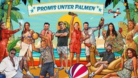 „Promis unter Palmen“ 2025: Diese 13 Promis treten den Kampf um das Preisgeld an