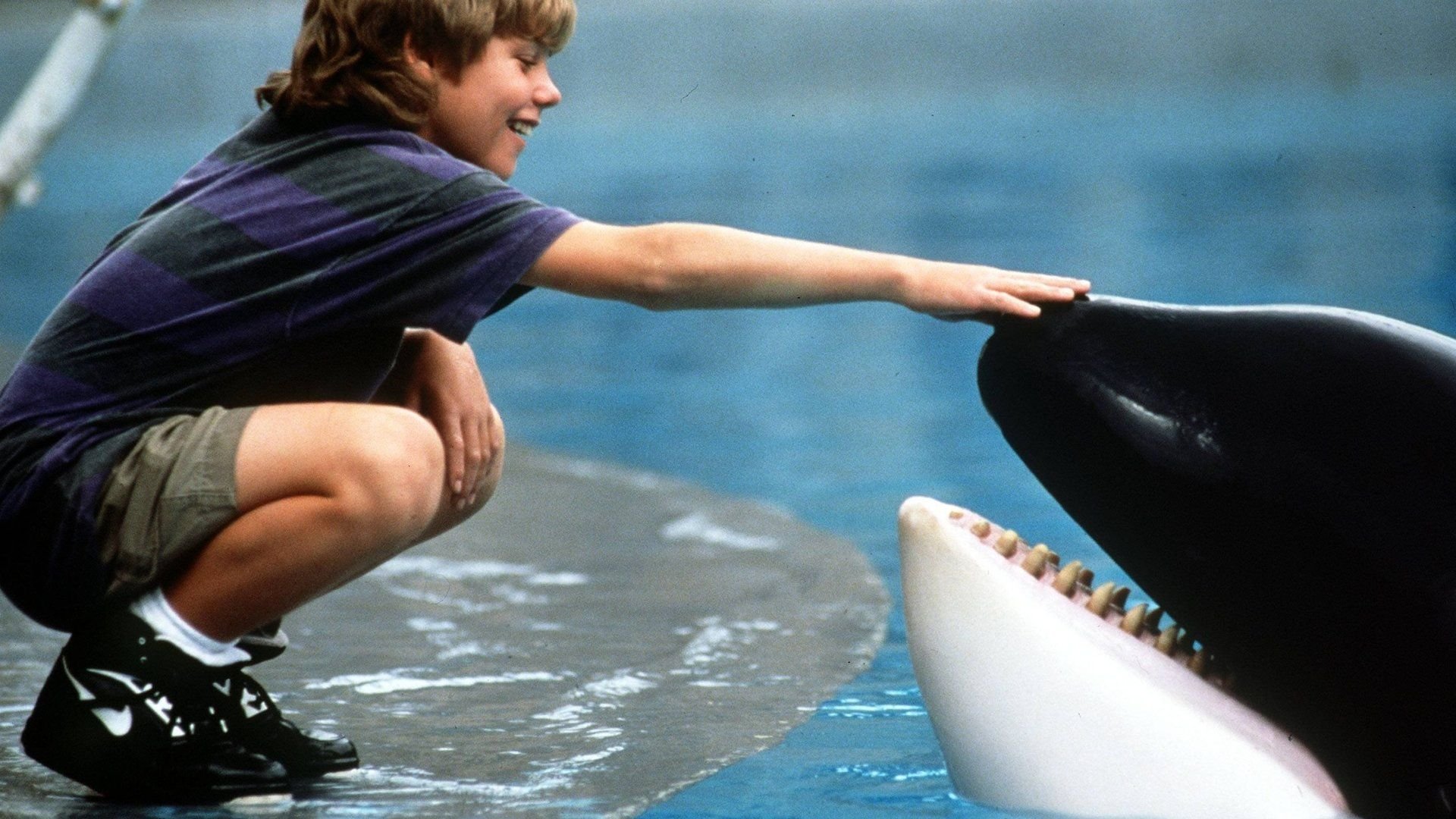 Remake angekündigt: So sieht der echte Junge aus „Free Willy“ heute aus