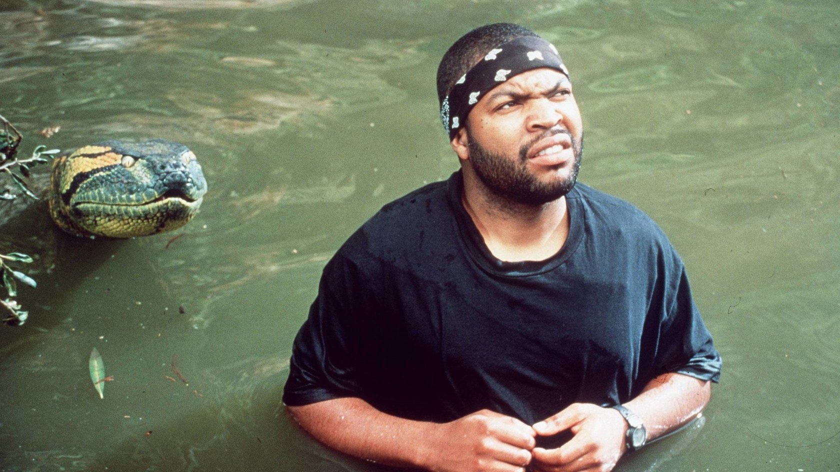Nach 27 Jahren: Ikonischer Schlangen-Thriller geht wohl mit Jack Black in die nächste Runde