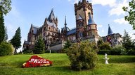 „Bares für Rares“: Das Event auf Schloss Drachenburg
