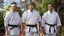 „Cobra Kai“-Finale: Staffel 6 jetzt vollständig im Stream auf Netflix
