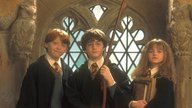 „Harry Potter“-Haustier-Test: Würdest du eine Eule, eine Katze oder eine Schildkröte mit nach Hogwarts nehmen?