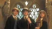 „Harry Potter“-Haustier-Test: Würdest du eine Eule, eine Katze oder eine Schildkröte mit nach Hogwarts nehmen?