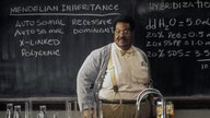 Eddie-Murphy-Quiz: Aus welchem Film stammt diese Szene? 