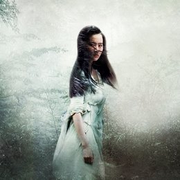 Chinese Ghost Story - Die Dämonenkrieger, A Poster
