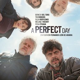 Perfect Day, A Poster