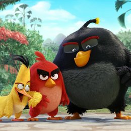 Angry Birds - Der Film / Angry Birds Poster