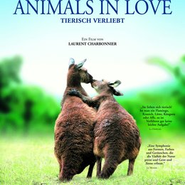 Animals in Love Poster