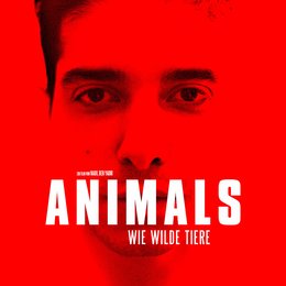 Animals - Wie wilde Tiere / Animals Poster
