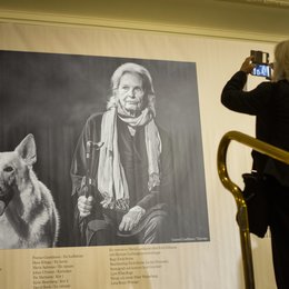 Auf der Suche nach Ingmar Bergman Poster