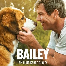 Bailey - Ein Hund kehrt zurück Poster