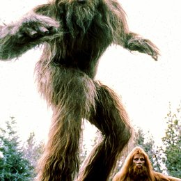 Auf der Suche nach Bigfoot Poster
