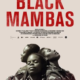 Black Mambas Poster