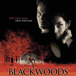 Blackwoods - Hetzjagd in die Vergangenheit Poster