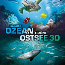 Blauer Ozean Grüne Ostsee Poster