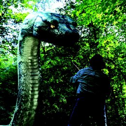 Boa vs. Python - Duell der Killerschlangen Poster