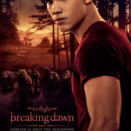 Breaking Dawn - Biss zum Ende der Nacht, Teil 1 / Breaking Dawn - Bis(s) zum Ende der Nacht 1 Poster