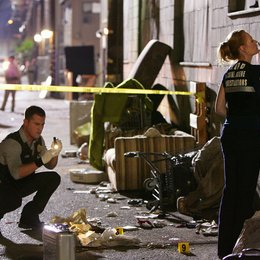 CSI: Crime Scene Investigation - Season 10.1 Poster