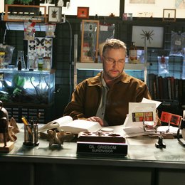 CSI: Den Tätern auf der Spur (08. Staffel) / CSI: Crime Scene Investigation - Season 8.2 Poster
