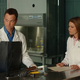 CSI: NY - Season 2 Poster